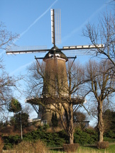 alkmaar_162x216_039.jpg