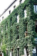antwerpen_150x225_015.jpg