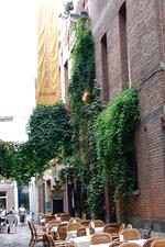 antwerpen_150x225_040.jpg