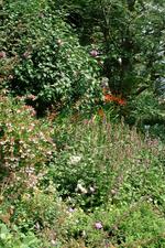 appeltern_150x225_024.jpg