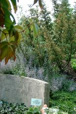 appeltern_150x225_076.jpg