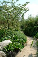 appeltern_150x225_117.jpg