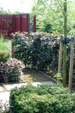 appeltern_150x225_122.jpg