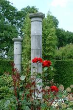 appeltern_150x225_204.jpg