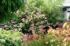 appeltern_225x150_037.jpg