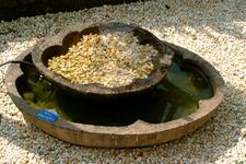 appeltern_225x150_051.jpg