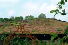 appeltern_225x150_053.jpg