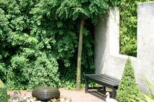 appeltern_225x150_055.jpg