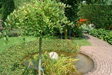 appeltern_225x150_073.jpg