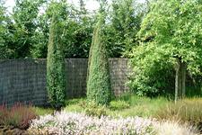 appeltern_225x150_114.jpg