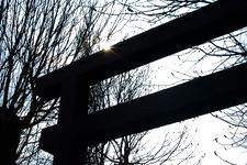arboretum_225x150_009.jpg