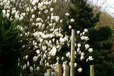 arboretum_225x150_012.jpg