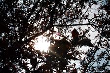 arboretum_225x150_021.jpg