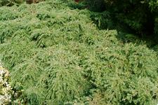 arboretum_225x150_025.jpg
