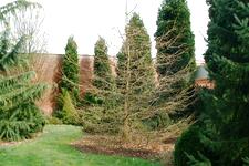 arboretum_225x150_026.jpg