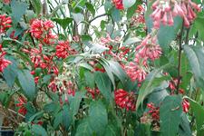 arboretum_225x150_032.jpg