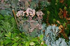 arboretum_225x150_033.jpg