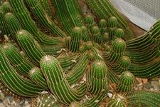 arboretum_225x150_035.jpg