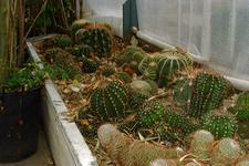 arboretum_225x150_036.jpg