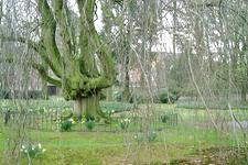 arboretum_225x150_039.jpg