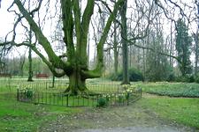 arboretum_225x150_041.jpg