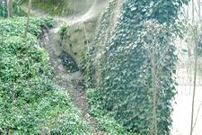 arboretum_225x150_045.jpg
