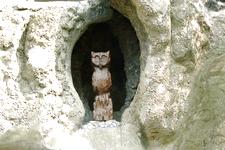arboretum_225x150_047.jpg