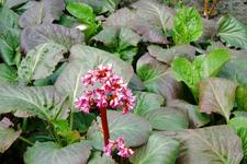 arboretum_225x150_053.jpg
