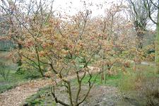 arboretum_225x150_057.jpg