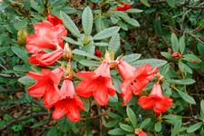 arboretum_225x150_060.jpg