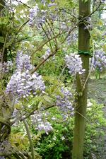 arboretum_150x225_093.jpg