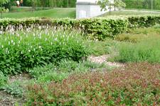 arboretum_225x150_059.jpg