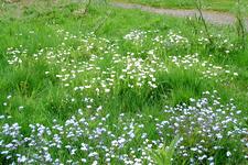 arboretum_225x150_060.jpg