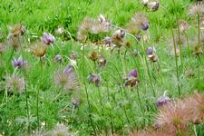 arboretum_225x150_061.jpg