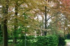 arboretum_225x150_087.jpg