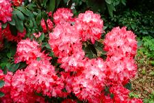 arboretum_225x150_099.jpg