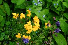 arboretum_225x150_105.jpg