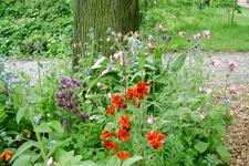 arboretum_225x150_106.jpg