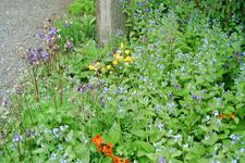 arboretum_225x150_109.jpg