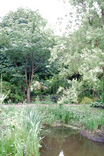 arboretum_150x225_006.jpg
