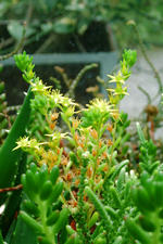 arboretum_150x225_021.jpg