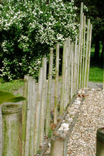 arboretum_150x225_036.jpg