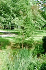 arboretum_150x225_049.jpg