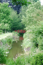 arboretum_150x225_054.jpg
