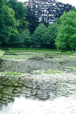 arboretum_150x225_055.jpg