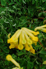 arboretum_150x225_062.jpg