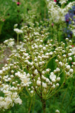 arboretum_150x225_064.jpg