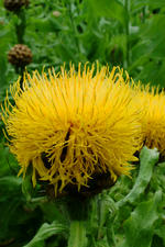 arboretum_150x225_070.jpg