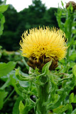 arboretum_150x225_071.jpg