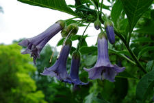 arboretum_225x150_013.jpg